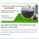 Xây dựng Huệ Phong - Chìa khóa mở ra cuộc sống an cư bền vững