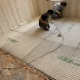 Bật mí địa chỉ sửa chữa nhà uy tín quận 6